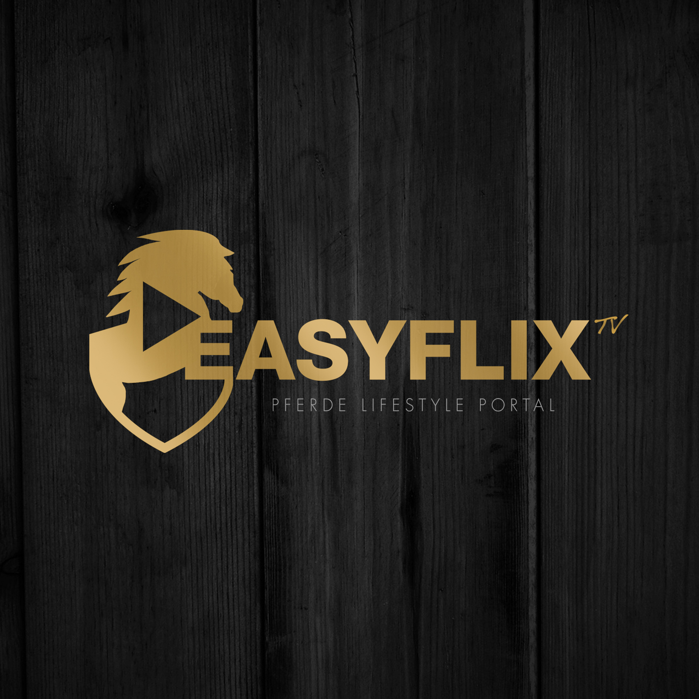 Du willst auch Easyflix Trainer werden?
