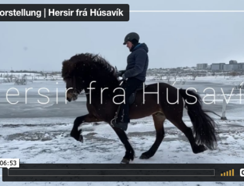 Das erste mal im deutschen TV:  Hersir frá Húsavík