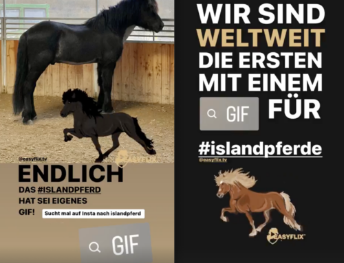 Weltpremiere | Jetzt endlich: Das Islandpferd als GIF-Sticker auf Instagram – exklusiv für euch – von uns