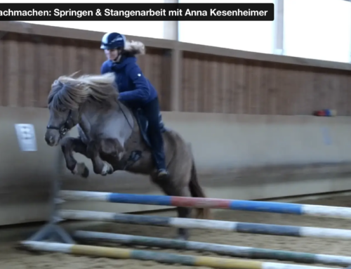 11.03. – 2 Übungen zum Nachmachen: Springen & Stangenarbeit  mit Anna Kesenheimer