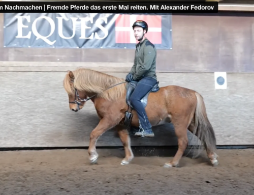 18.03. – Die “Anleitung” zum Nachmachen | Fremde Pferde das erste Mal reiten. Mit Alexander Fedorov