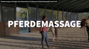Pferdemassage | Techniken zum Nachmachen für Zuhause by Pferdeosteopathin Paula Troll