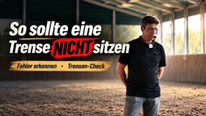 So sollte eure Trense NICHT sitzen | Mit Ralf Dörringshoff & Stephan Fischer